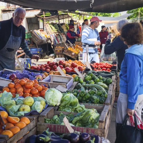 Cambios en el control alimentario: Senasa y Salud absorben las funciones del INAL