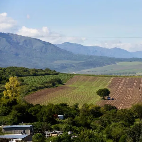Ley de Tierras: el peronismo busca voltear un capítulo clave y el Gobierno pone un tope a la extranjerización