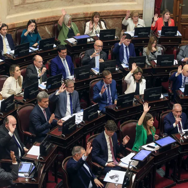 El oficialismo impuso su mayoría en el Senado y evitó la vuelta a comisión