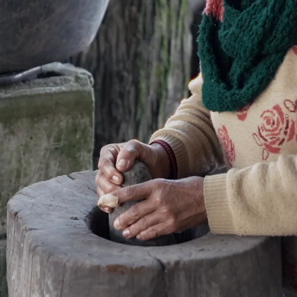 "Tierra Citrus": se estrena la ópera prima de Ayelén Agüero