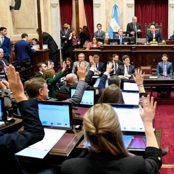 Endeudamiento familiar: la oposición presiona a Milei en el Congreso y propone para limitar tasas y reestructurar deudas