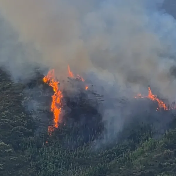 Medellín bajo fuego: se registraron cuatro incendios forestales simultáneos