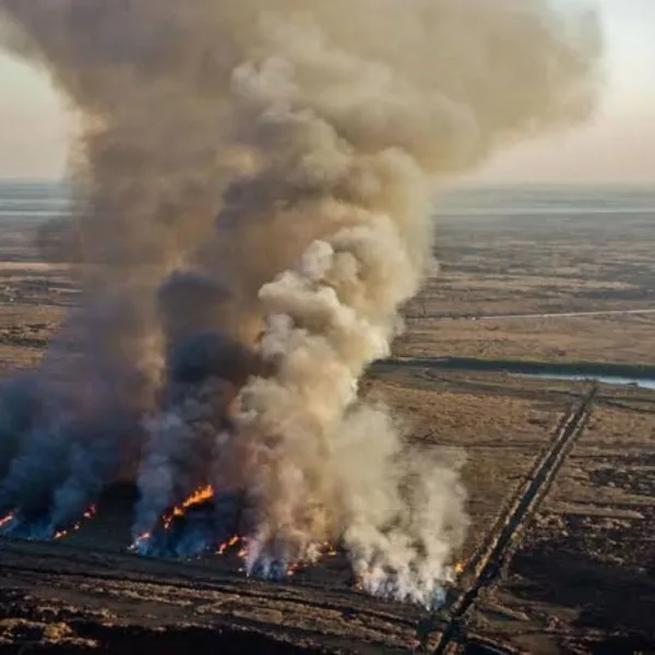 Delta del Paraná: detectaron 36 focos y hay más de 1.700 hectáreas quemadas