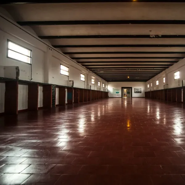Córdoba: convocan a familiares de desaparecidos a aportar muestras de ADN