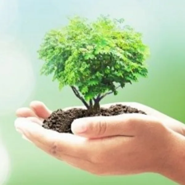 Pequeños Guardianes del Planeta: una colección de cuentos que acerca la educación ambiental a las infancias 