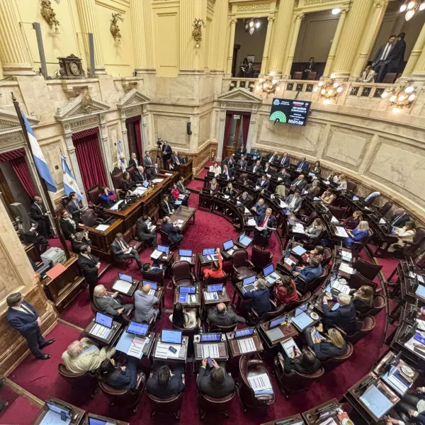 Reforma electoral: el Gobierno no consigue los votos para eliminar las PASO