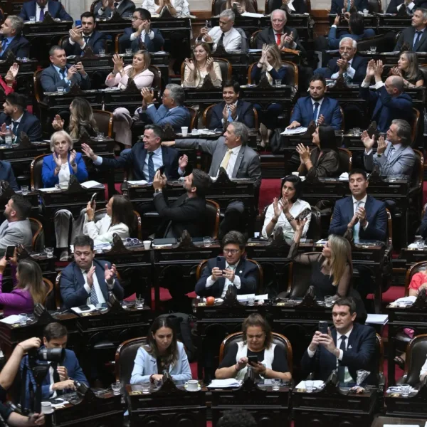 El oficialismo logró dictamen de mayoría para su proyecto sobre Discapacidad 
