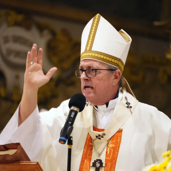 Visita de León XIV: la Iglesia pidió no politizar la llegada del Papa