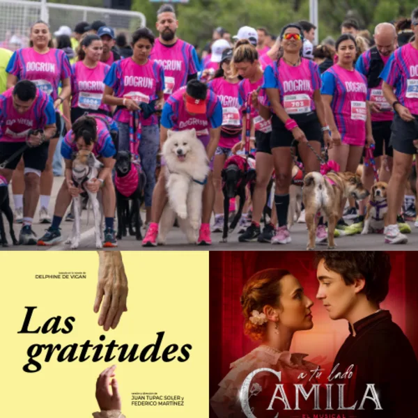 Agenda Filo: los espectáculos que no te podes perder