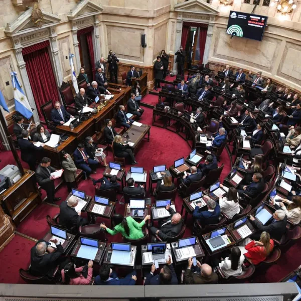 El Senado debate la reforma del Banco Central y cambios en Zonas Frías