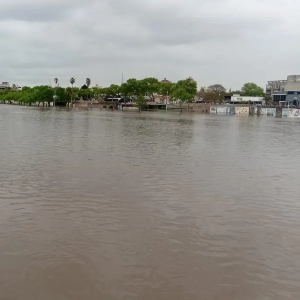 Alerta por la crecida del Río Uruguay: esperan picos de altura para el lunes