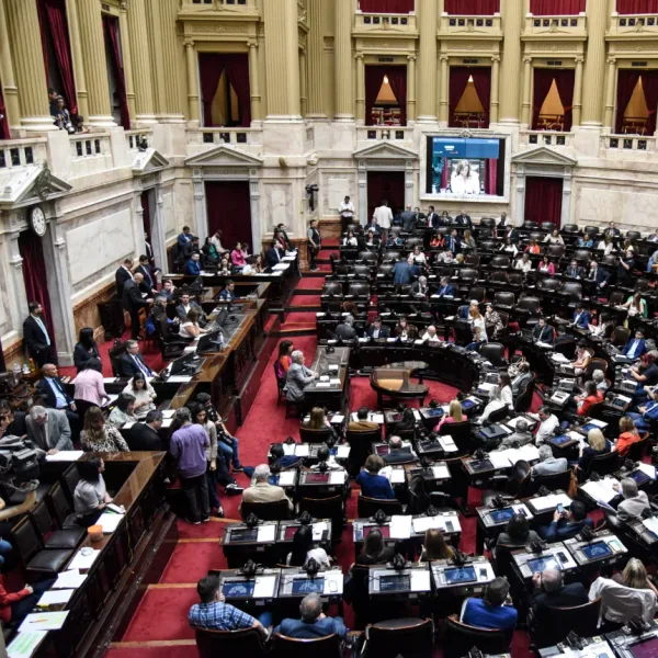 La UCR exige reforzar los fondos de discapacidad y mantener la movilidad en las AUH para aprobar el presupuesto 2027