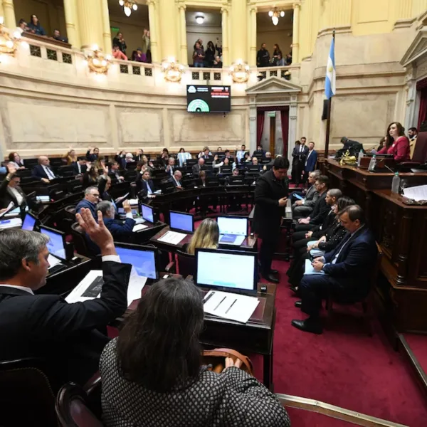 El Senado trata la reforma de la Ley de Salud Mental