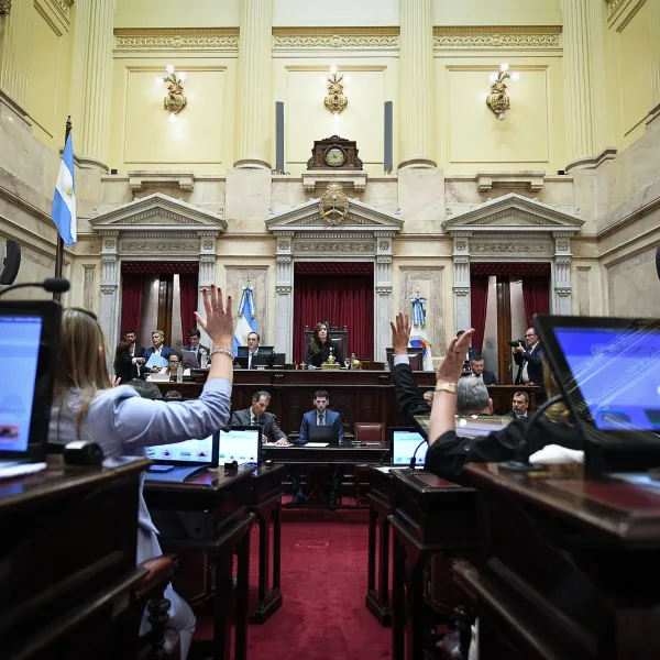 El Senado le dio media sanción a la reforma de la Ley de Salud Mental